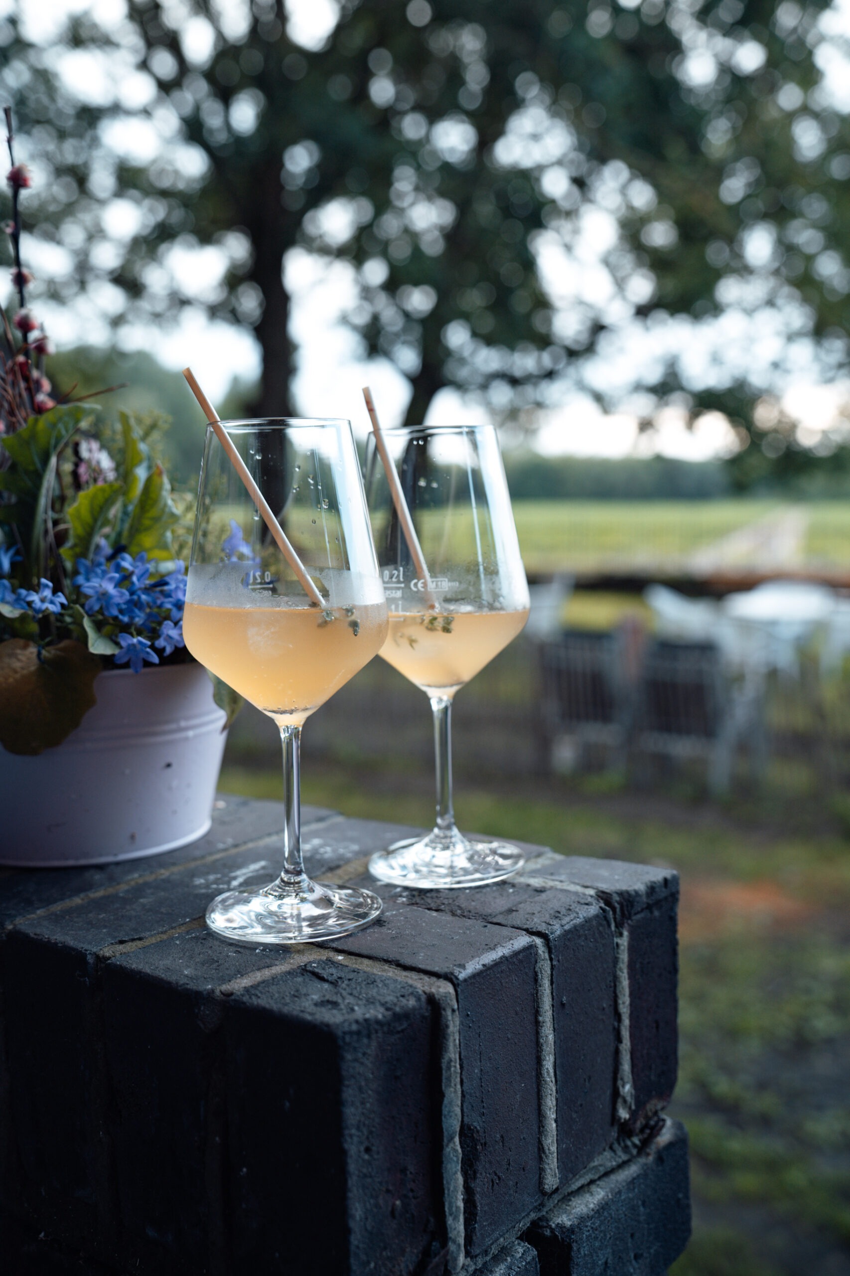Afterwork mit Alpakas, Wein & Perlenschmuck - 05.08.2026 / 18-20:30 Uhr – Bild 6